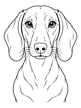 Detailed dachshund coloring page featuring a front-facing portrait with floppy ears and expressive eyes.