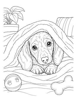 A sweet dachsund coloring page showing a puppy peeking from beneath a cozy fluffy blanket.