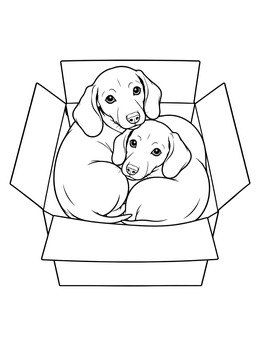 Two sweet puppies curl up together in a cozy cardboard box on this dachsund coloring page.