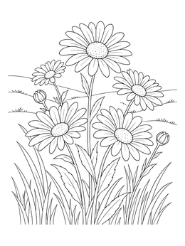 A peaceful daisy flower coloring page featuring blooms in a rolling meadow.