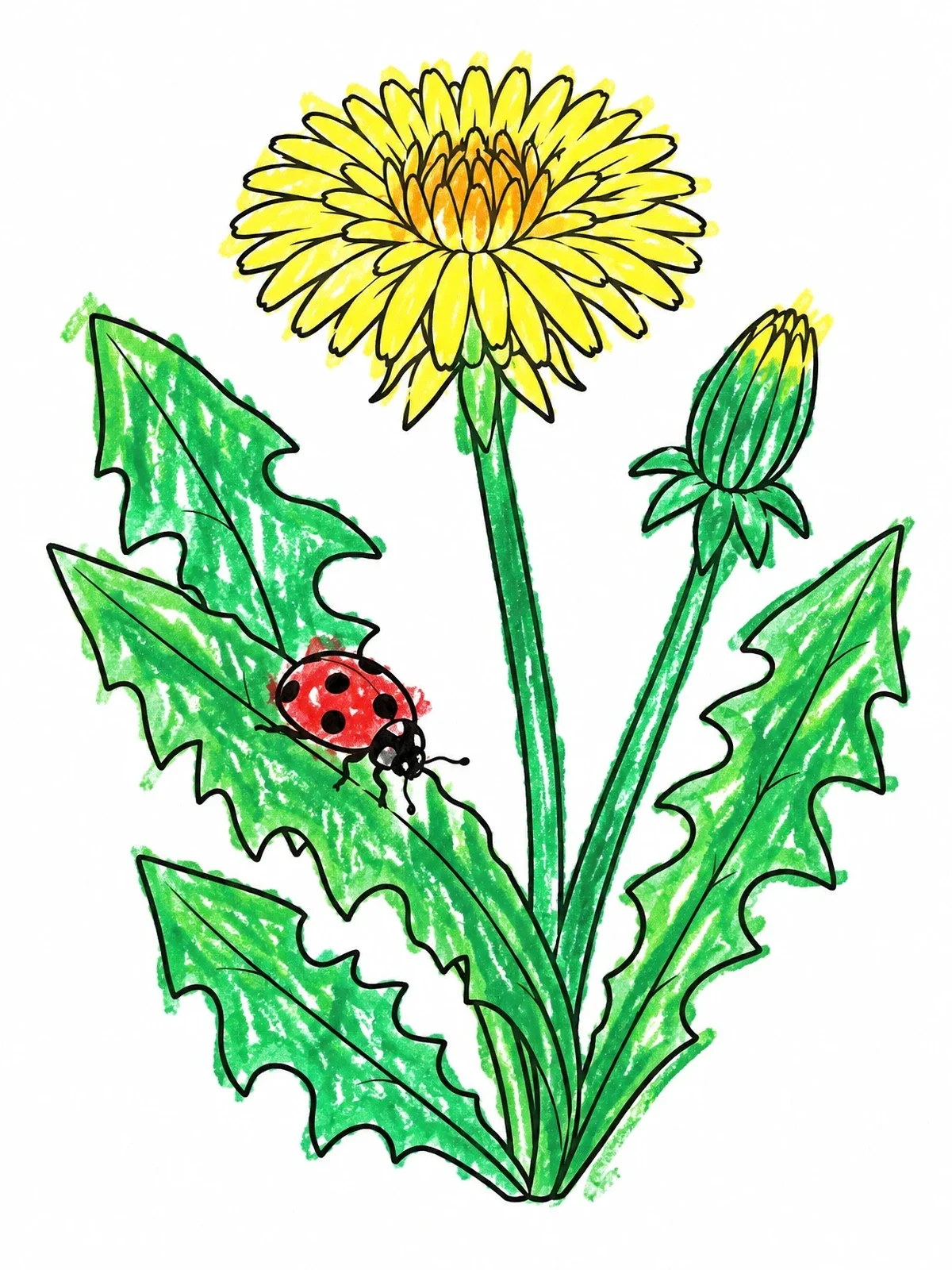 Colored example of the Dandelion Bloom With Ladybug coloring page