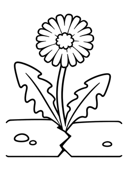 Free printable Dandelion Growing In Sidewalk Crack coloring page