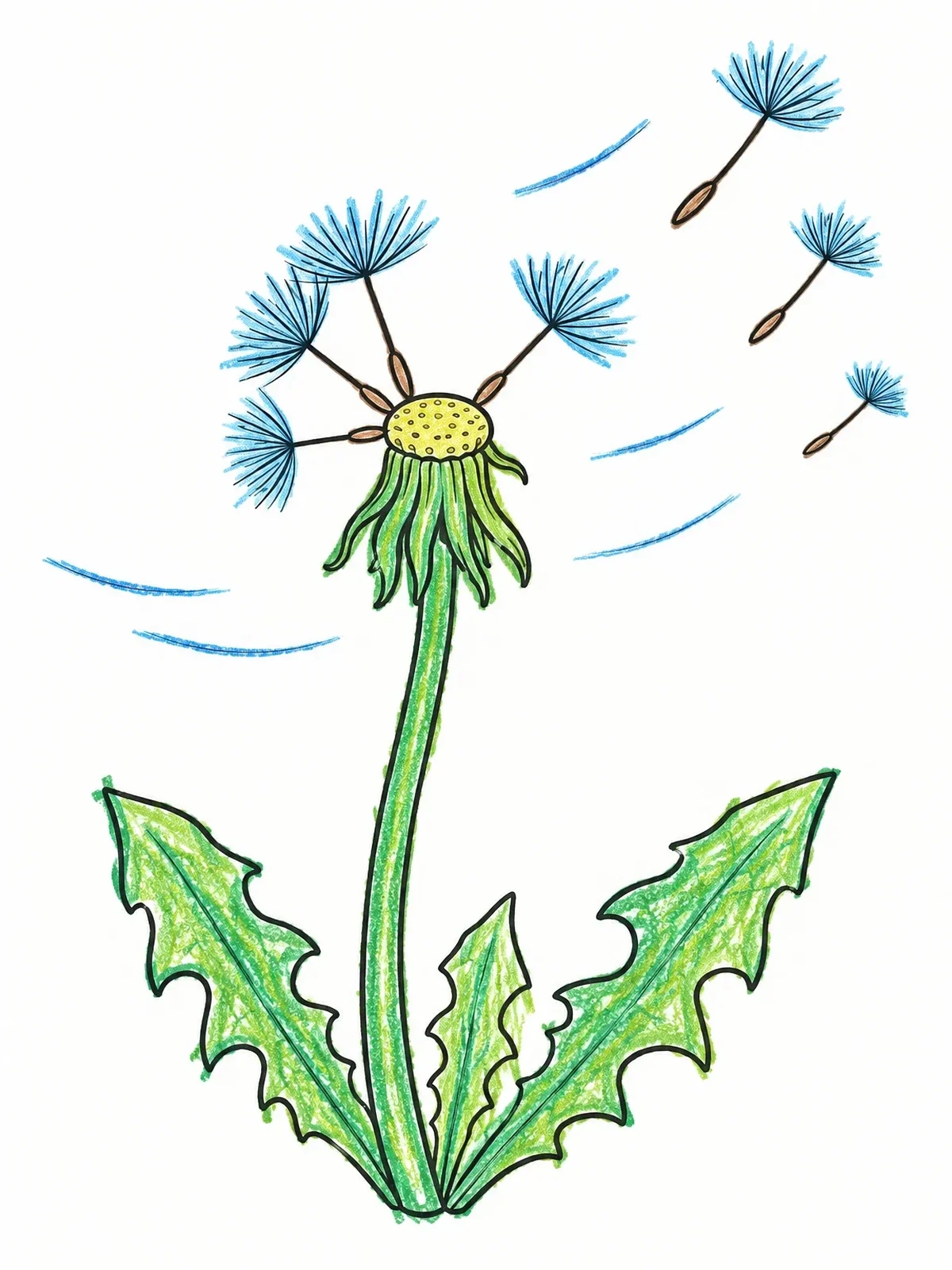 Colored example of the Dandelion Seeds In The Wind coloring page