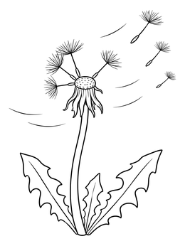 Free printable Dandelion Seeds In The Wind coloring page