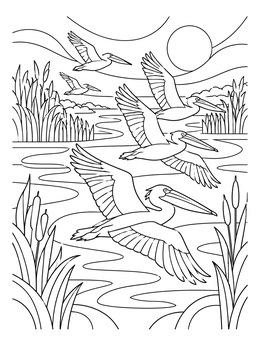 Pelicans fly across wetlands in this Danube Delta Romania coloring page.