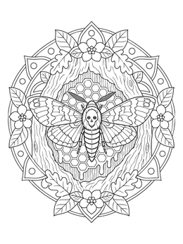 Intricate moth coloring page featuring a death's-head moth over honeycomb framed in floral patterns.