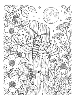 A detailed moth coloring page featuring a death's-head moth on a post under a full moon.