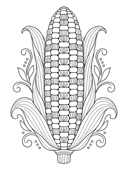 A detailed ear of corn coloring page decorated with patterned kernels and ornate leaves.