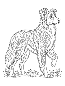 Free printable Decorative Patterned Border Collie coloring page