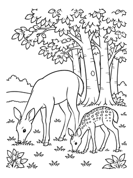 Free printable Deer And Fawn In Deciduous Forest coloring page