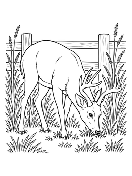 A buck grazes beside tall grass and a fence in this deer coloring page.