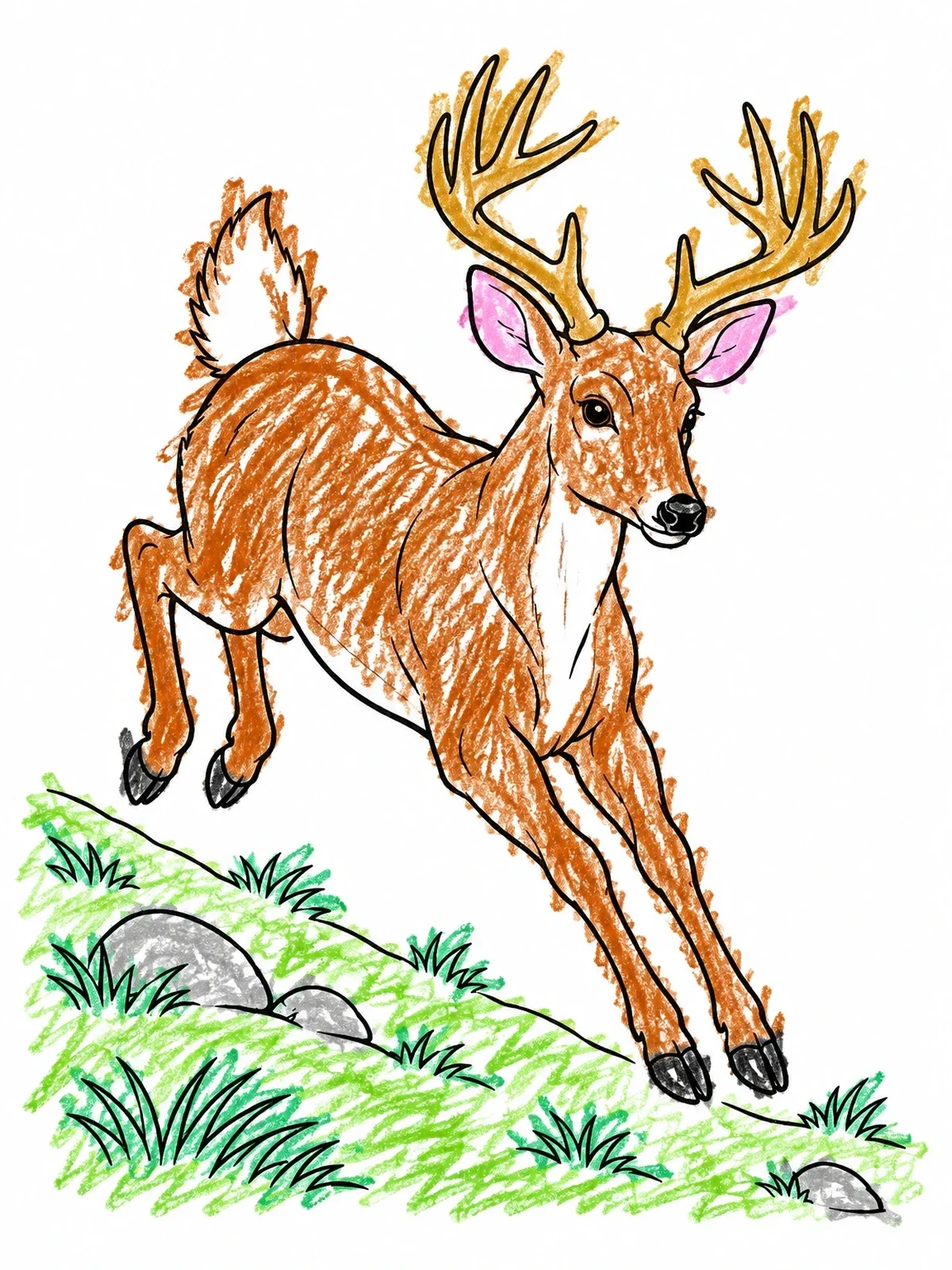 Colored example of the Buck Leaping Down A Slope coloring page