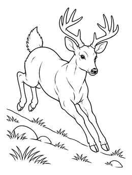 A graceful deer coloring page showing a horned buck leaping down a grassy slope.