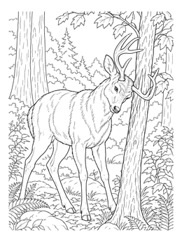 A realistic deer coloring page featuring a buck rubbing its antlers against a tree in the forest.