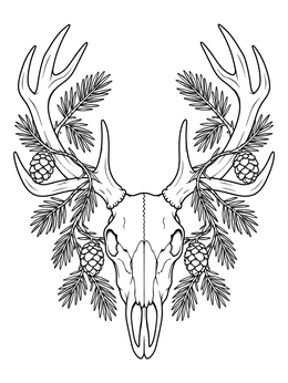 Intricate deer coloring page featuring an antlered skull adorned with pine branches and cones.