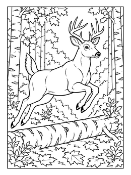 A whitetail buck leaps over a birch log in this forest deer coloring page.