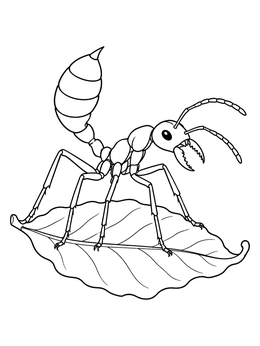 Detailed ant coloring page showing an ant perched defensively on a leaf.