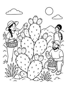 People harvest ripe cactus figs in this sunny desert coloring page.