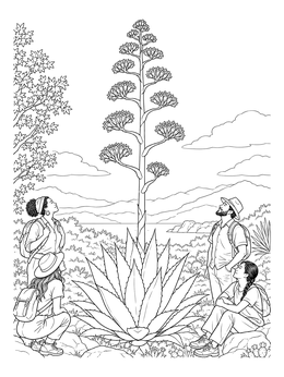 Hikers look up at a giant blooming agave in this desert coloring page.