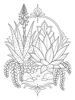 A detailed desert coloring page showing blooming aloe vera, agave, and trailing succulents.