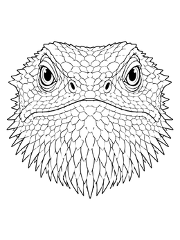 Close-up portrait in this bearded dragon coloring page featuring intricate scales and spiky beard details.