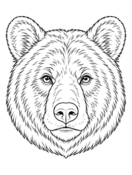 A detailed black bear coloring page featuring a close-up of a bear face with intricate fur texture.