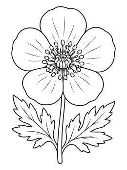 Free printable Detailed Blooming Buttercup Flower coloring page