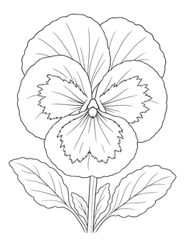 A blooming flower in this detailed pansy coloring page.