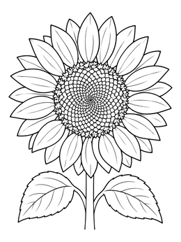 A detailed sunflower coloring page with a spiral patterned center and broad leaves.
