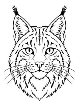Detailed bobcat coloring page featuring an alert wild cat face with tufted ears.