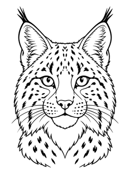 A wild lynx portrait in this detailed bobcat coloring page with tufted ears and spotted fur.