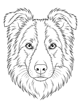 Free printable Detailed Border Collie Dog Portrait coloring page
