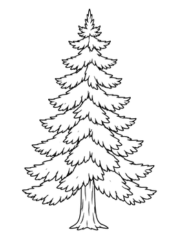 Free printable Detailed Evergreen Pine Tree Line Art coloring page