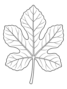 A detailed fig tree coloring page showing a single lobed leaf with veins.