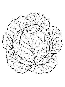 Free printable Detailed Fresh Cabbage Head coloring page