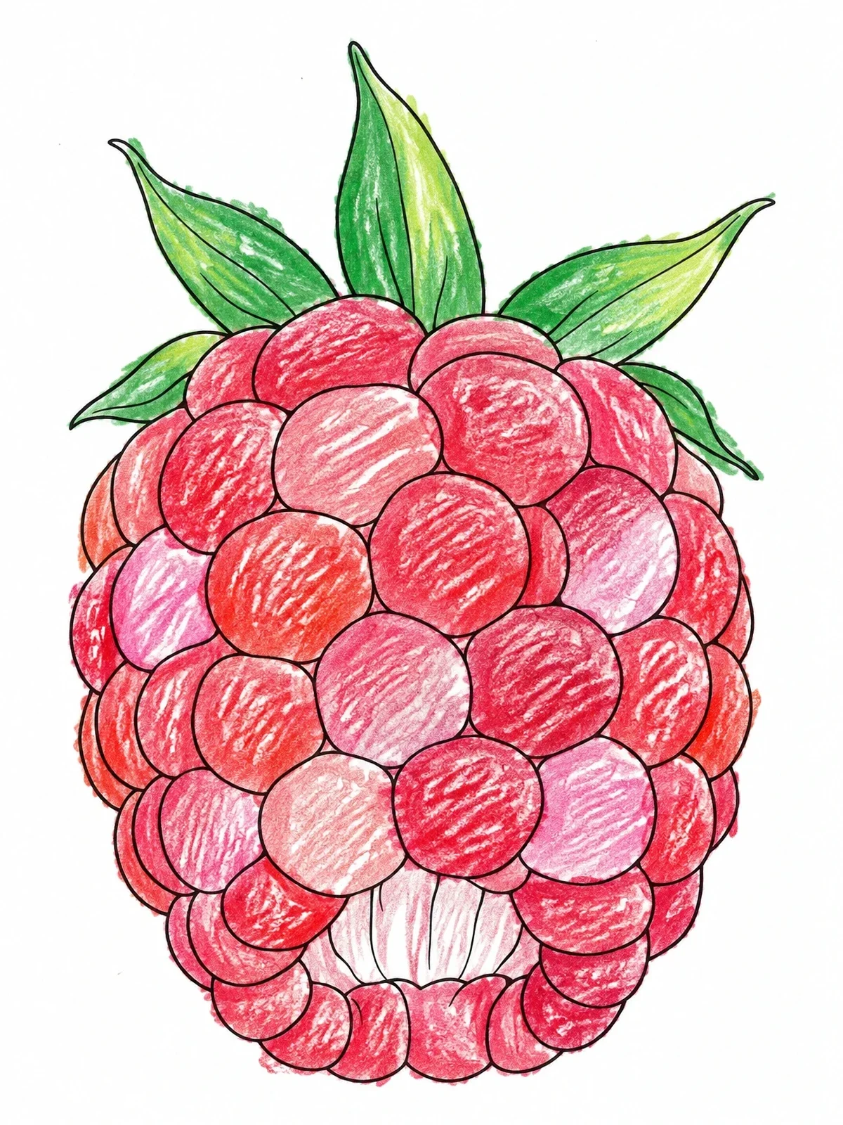 Colored example of the Detailed Fresh Raspberry With Leaves coloring page