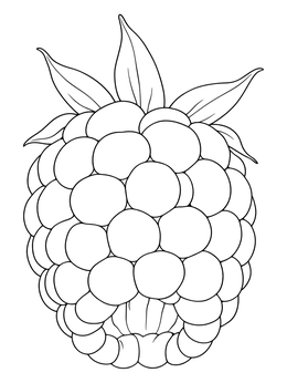 Free printable Detailed Fresh Raspberry With Leaves coloring page