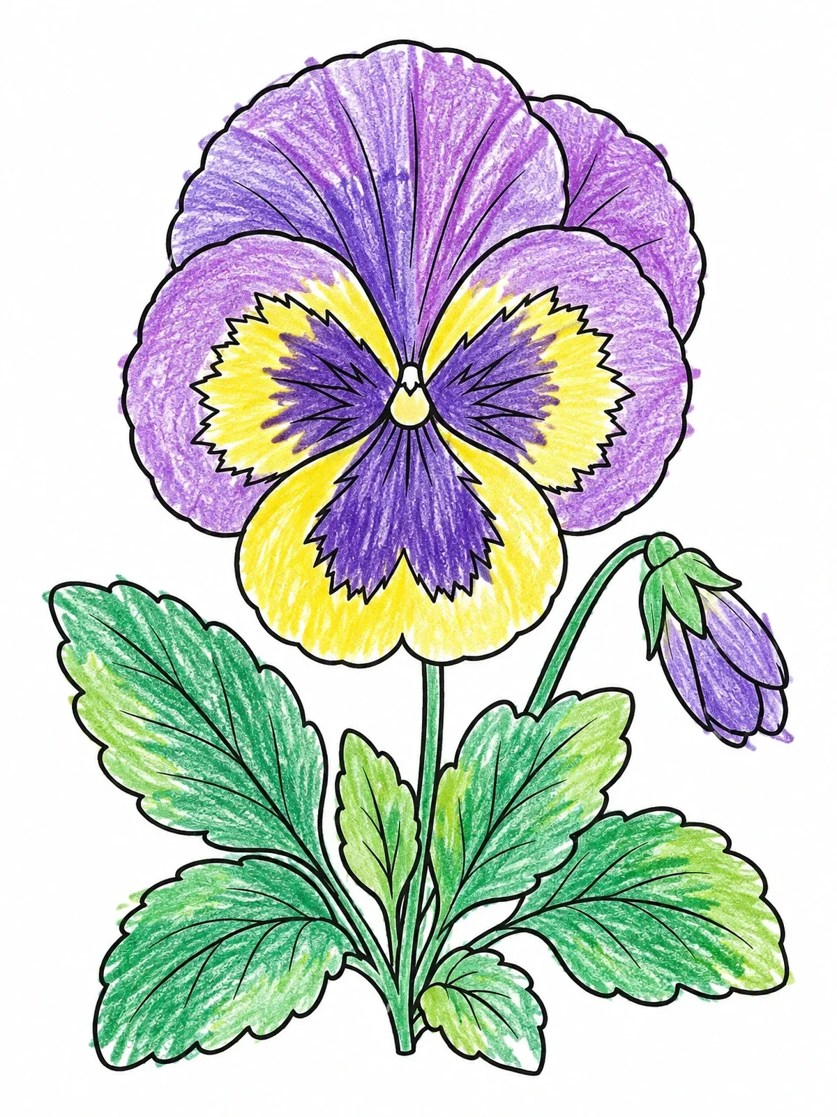 Colored example of the Detailed Garden Pansy Flower In Bloom coloring page