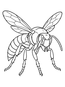 A detailed hornet coloring page standing with raised wings and antennae.