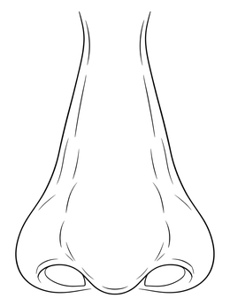 A simple human nose coloring page viewed from the front with clean outlines.