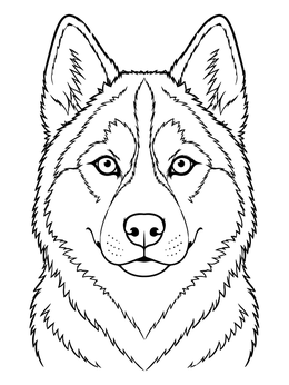 A detailed husky coloring page portrait showing the dog's symmetrical facial markings.