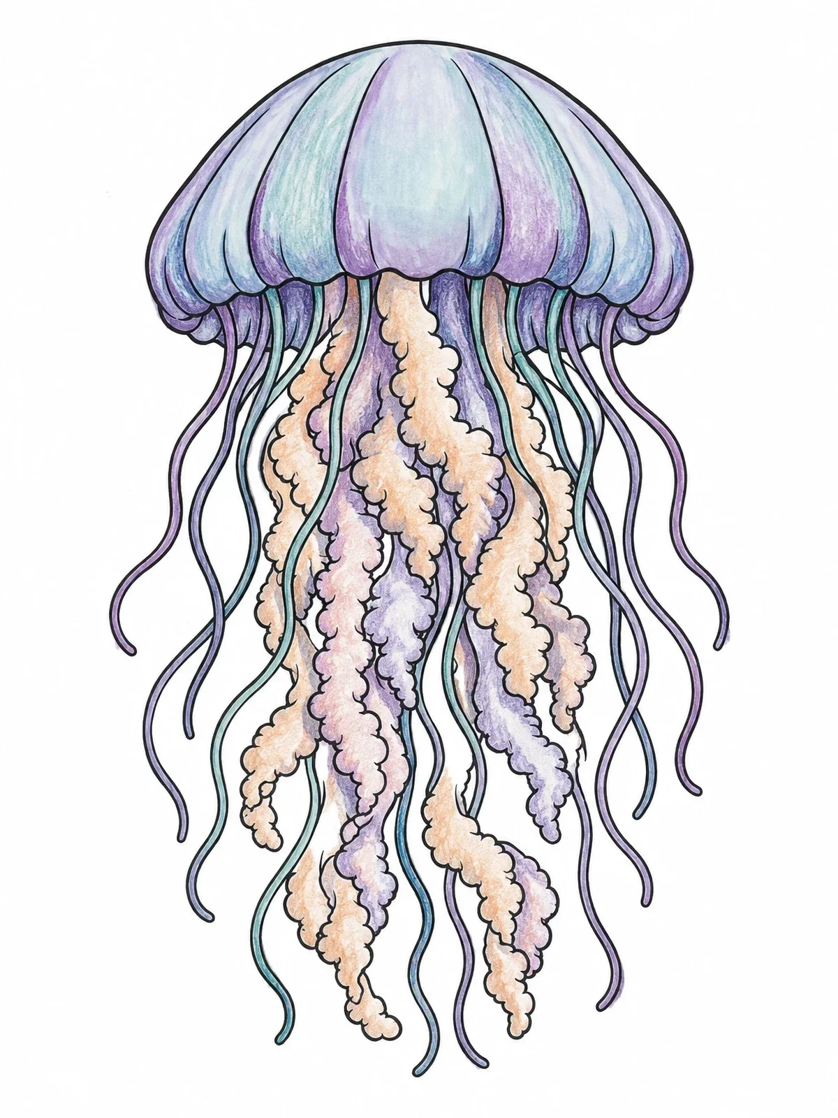 Colored example of the Detailed Lion's Mane Jellyfish coloring page