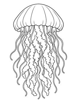 A detailed jellyfish coloring page featuring long flowing tentacles and an umbrella dome.