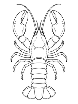 An overhead lobster coloring page showing large claws, long antennae, and a segmented shell.