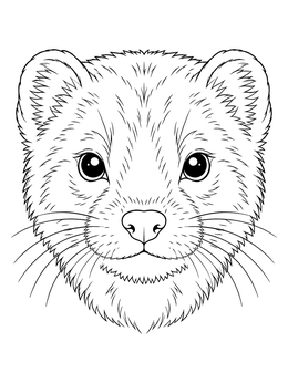 A mink coloring page featuring a detailed close-up of a mink face.