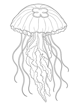 A detailed jellyfish coloring page showing flowing tentacles and bell patterns.