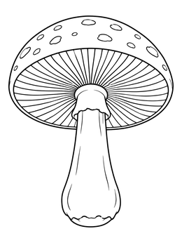 Detailed mushroom coloring page displaying radial gills and a spotted cap.