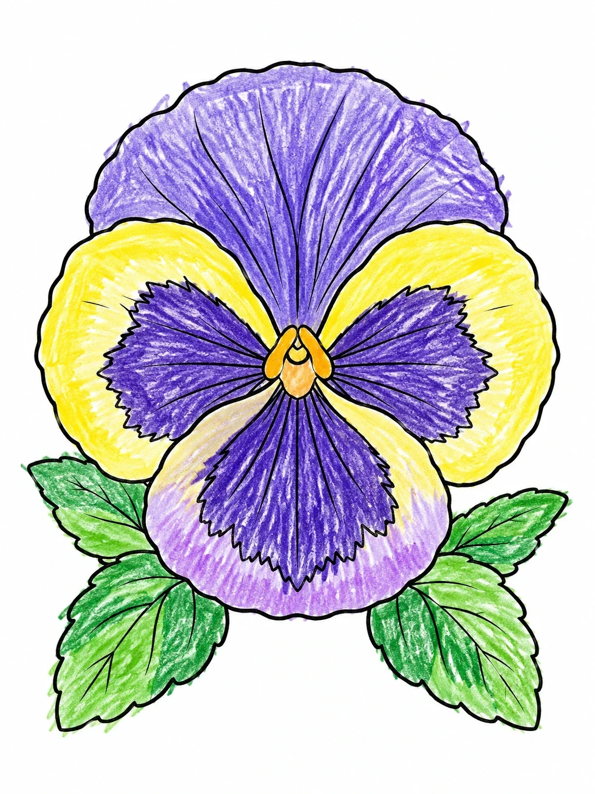 Colored example of the Detailed Pansy Bloom With Leaves coloring page