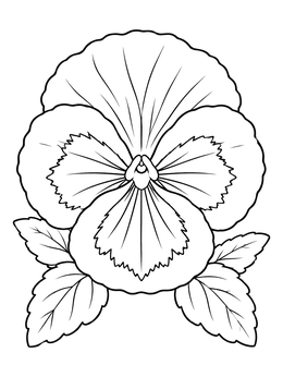 Free printable Detailed Pansy Bloom With Leaves coloring page