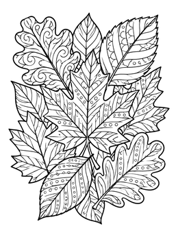 Detailed Patterned Autumn Leaves coloring page